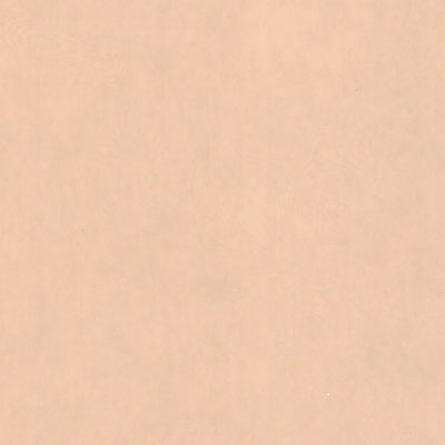 Verzierwachsplatte, Nr. 22, apricot, 200 x 100 x 0,5 mm
