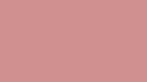 Verzierwachsplatte, Nr. 38, magnolie, 200 x 100 x 0,5 mm