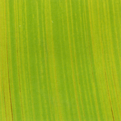 Verzierwachsplatte, Nr. 1003, Bemalt auf g/s, 200 x 100 x 0,5 mm
