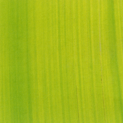 Verzierwachsplatte, Nr. 1002, Bemalt auf g/s, 200 x 100 x 0,5 mm