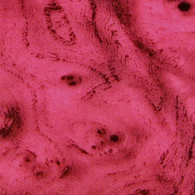 Verzierwachsplatte, Nr. 0446, Multicolor, 200 x 100 x 0,5 mm