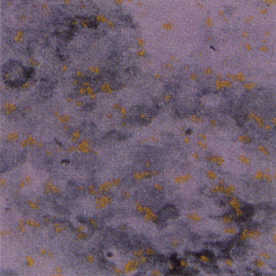 Verzierwachsplatte, Nr. 0456, Multicolor, 200 x 100 x 0,5 mm