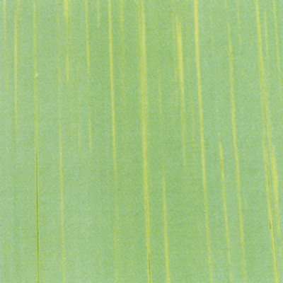 Verzierwachsplatte, Nr. 1011, Bemalt auf g/s, 200 x 100 x 0,5 mm
