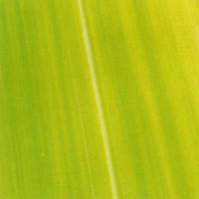 Verzierwachsplatte, Nr. 0929, Bemalt, 200 x 100 x 0,5 mm
