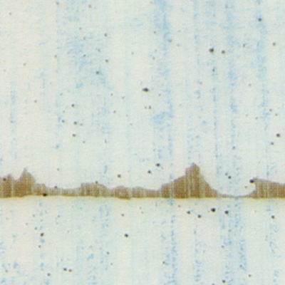 Verzierwachsplatte, Nr. 0902, Multicolor, 200 x 100 x 0,5 mm