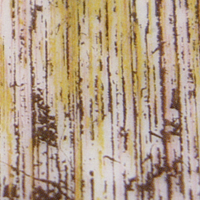 Verzierwachsplatte, Nr. 0906, Multicolor, 200 x 100 x 0,5 mm